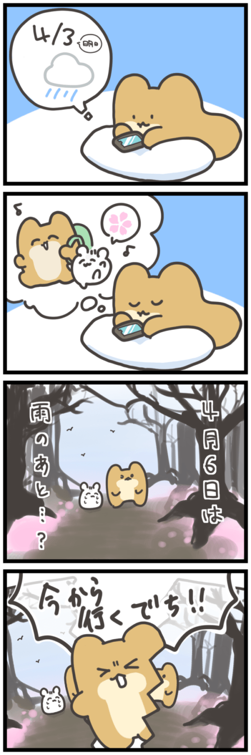 明日（4/3）の天気は雨らしいでち。
そういえばお花見行こうって、ゆきちと約束してたでち。
4月6日は、雨のあと・・・？
今から行くでち！！